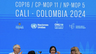 La COP16 finaliza sin acuerdo sobre la financiación del plan para salvar la naturaleza