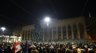 Berliner Tageszeitung - Géorgie: Des Milliers De Manifestants Pro-UE ...