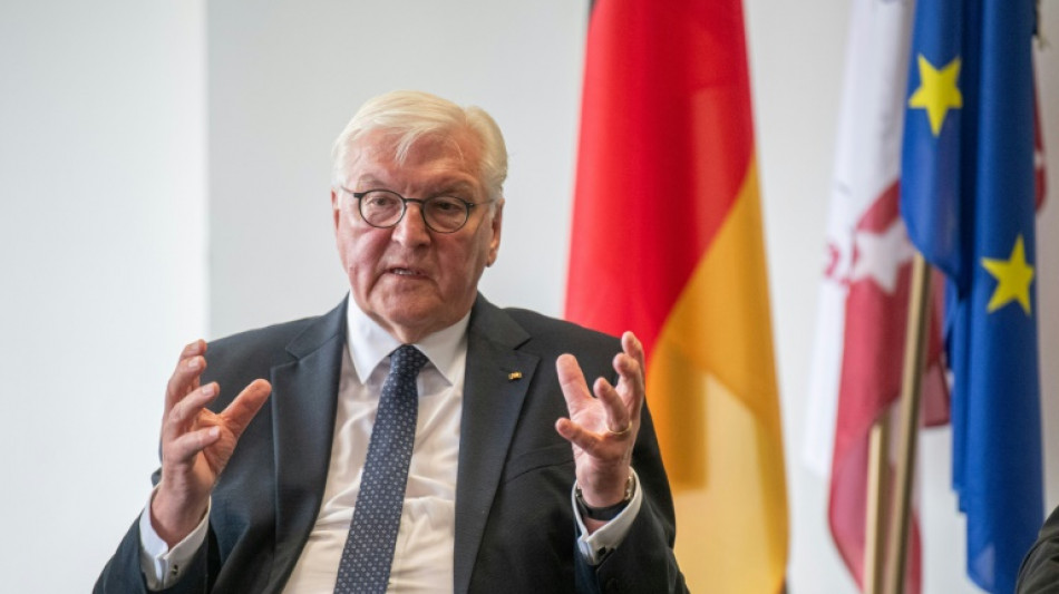 Steinmeier appelliert an Verantwortung Ungarns innerhalb der Europäischen Union