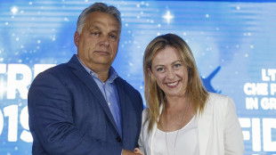 Orban, Meloni può guidare i conservatori in Europa