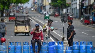 Crowds jeer Sri Lankan PM on rare outing 