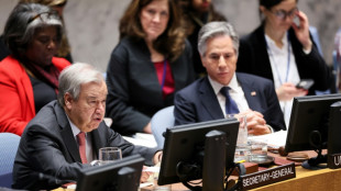 UN chief sees 'flame of hope' in Syria, calls for end to Israel strikes