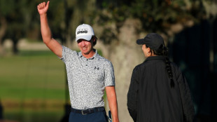 American McNealy takes first PGA title with closing birdie