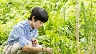 Japan's only young imperial heir turns 18