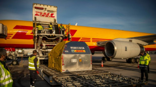La empresa de logística alemana DHL suspende los envíos a Rusia y Bielorrusia
