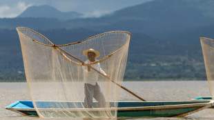 Mexique: opération sauvetage d'un lac au pays des bancs de poissons morts