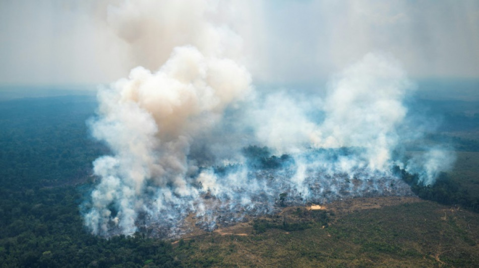 Record de chaleur et feux de forêts en Amazonie colombienne