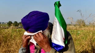 Inde: tirs de gaz lacrymogènes pour arrêter une marche d'agriculteurs en colère