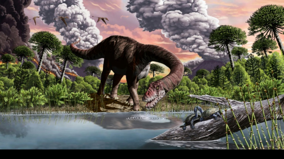 Faeces, vomit offer clues to how dinosaurs rose to rule Earth